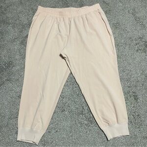 Women’s Lane Bryant Joggers Size 22/24